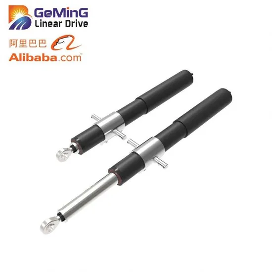Linear Electric Brake Actuator 12V 15in Stroke Track New Product Golden Supplier 230V 6000n for Armchair Naicenamide Moisturizer 